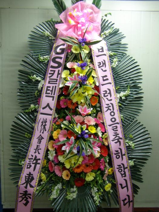 ��۰��Դϴ�..