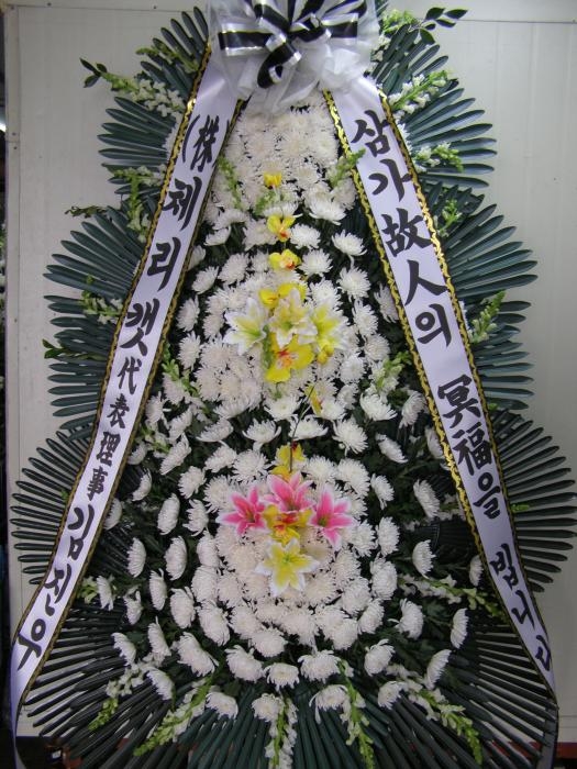 �ƻ꺴����۰��Դϴ�..