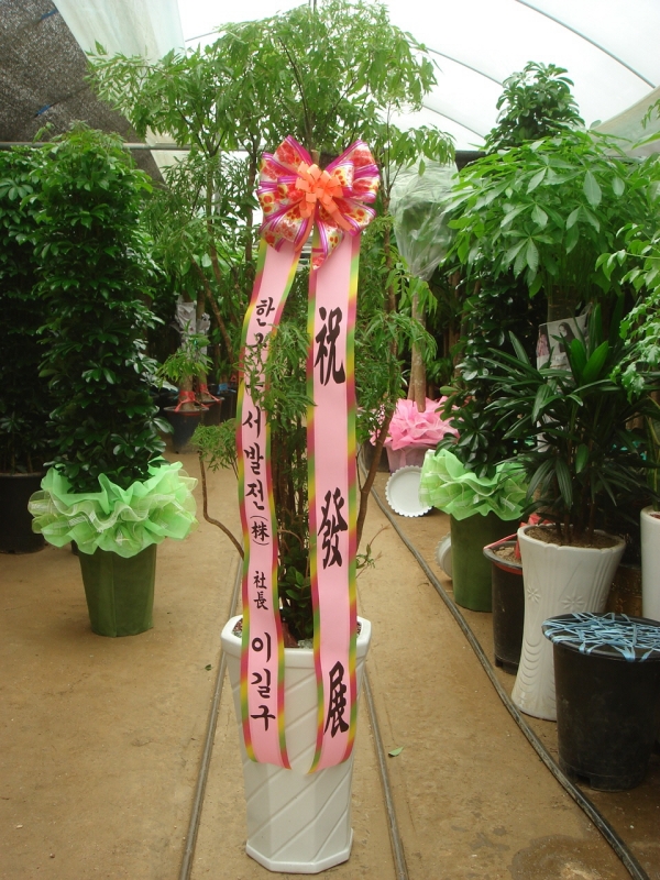 ������۰��Դϴ�..