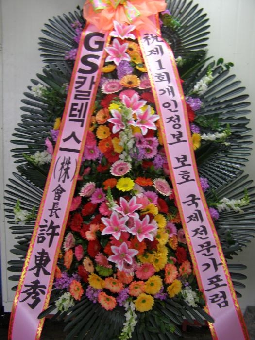 ���￪�ﵿ��۰��Դϴ�..