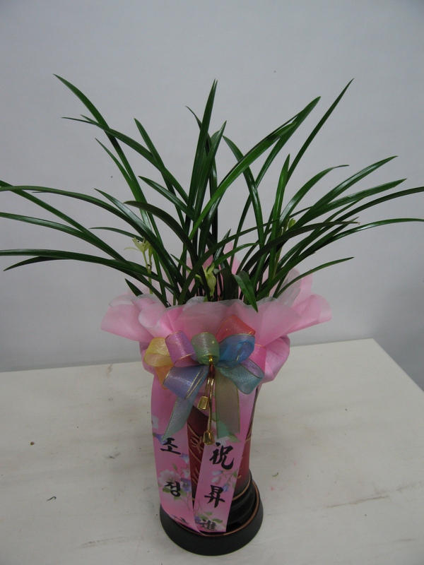 ������۰��Դϴ�..