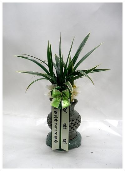 ��õ��۰��Դϴ�..