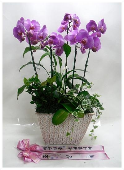 ���α� ���Ƶ���۰��Դϴ�.