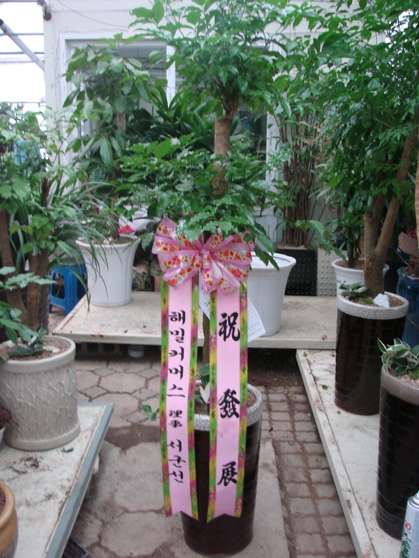 �������Ż絿��۰��Դϴ�.