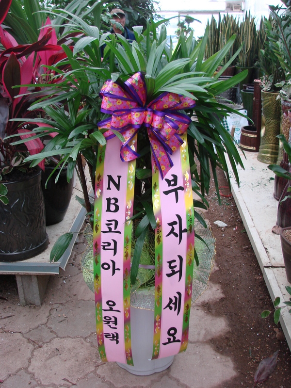 �����ü��ϵ���۰��Դϴ�.