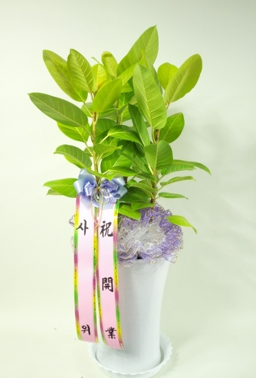 ������۰��Դϴ�..