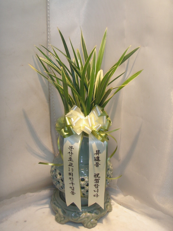 ���ֹ�۰��Դϴ�.