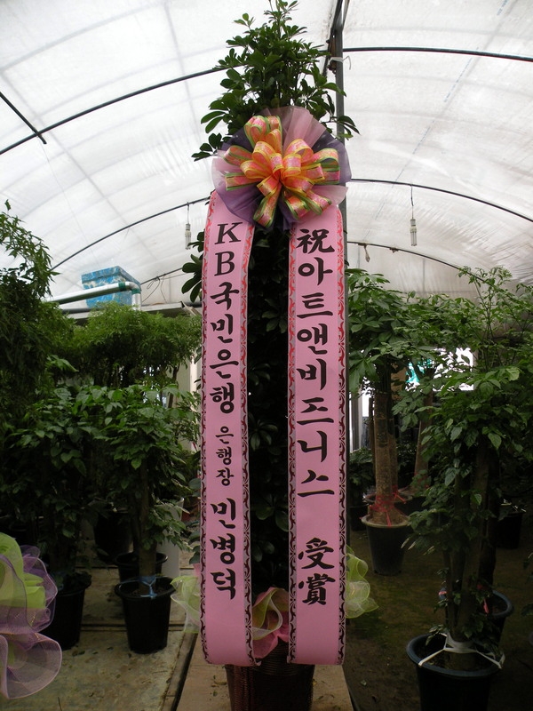 ��������۰��Դϴ�..