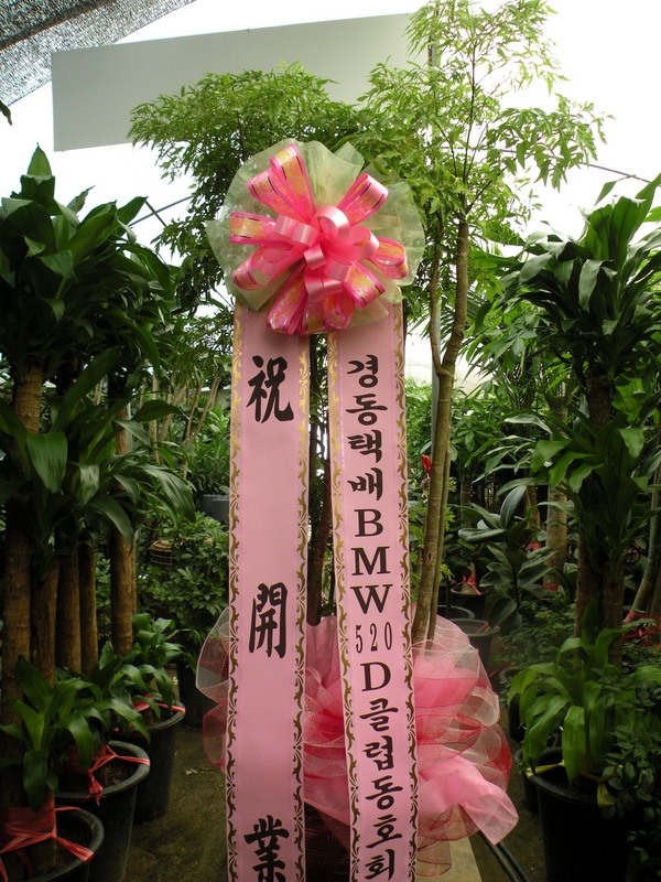 ��õ��۰��Դϴ�.